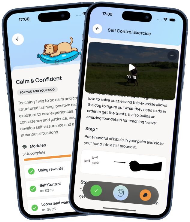 Suppawt app course screen showing the Calm and Confident training module