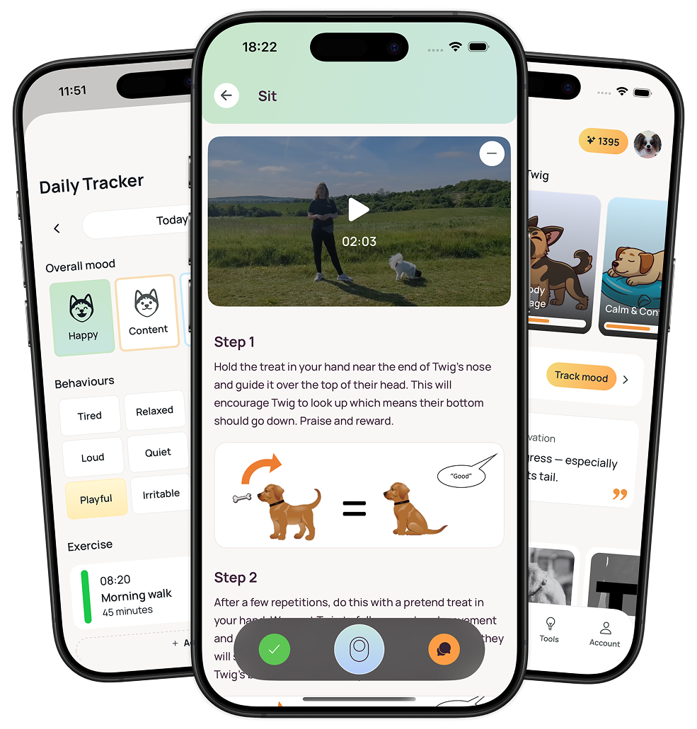 Suppawt dog training app screenshots showing courses, daily tracker, and sound therapy on mobile